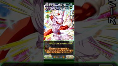 【ドッカンバトル】極限有力候補からまさかの見送り…2020年年末フェス限ジャネンバの未来は明るい？　#ドッカンバトル #ドラゴンボール #dragonball #dokkanbattle