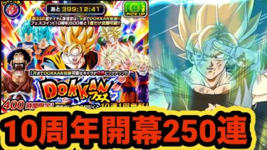 ドッカンバトル10周年おめでとう！開幕超ベジットドッカンフェス250連引いてみた！【ドッカンバトル】【Dragon Ball Z Dokkan Battle】