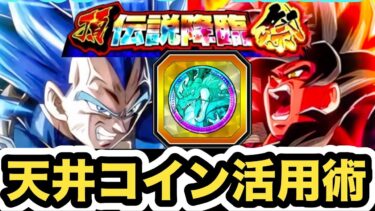 天井コインどう使う？10周年フェスコイン&祭コインおすすめ活用術‼︎【ドッカンバトル】【Dragon Ball Z Dokkan Battle】