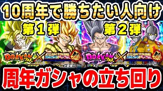 10周年で勝利する為の周年ガシャ上手な立ち回りテク3選｜#年末年始キャンペーン ｜ドッカンバトル【ソニオTV】