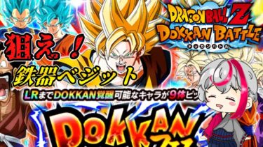 【ドッカンバトル】無課金で当てれるか？鉄器ベジット