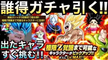 『神演出きたぁー!!』極限ガチャ引いて出たキャラですぐ挑む！！誰も引かないと思うのでげるしが引いときました【ドッカンバトル】【地球育ちのげるし】