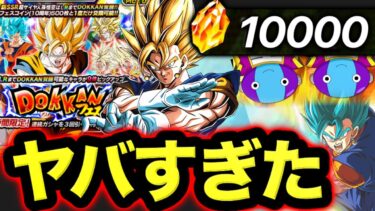 【ベジット3枚抜き⁉︎】ドカバト10周年ガシャを大量の龍石で回しまくった結果がヤバすぎた【ドッカンバトル】