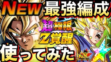 待望のWベジット『超極限・超ベジット』最強編成で使ってみたら..【ドッカンバトル】【地球育ちのげるし】