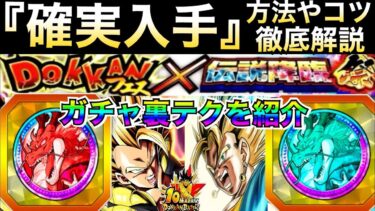 10周年目玉キャラ『絶対GETできる方法』ガチャ裏テクやコツを徹底解説！！ドカバト10周年【ドッカンバトル】【地球育ちのげるし】