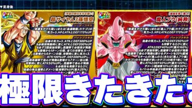 年末悟空3と純粋ブウの極限がきたきたきた！！【ドッカンバトル】