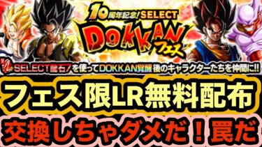 【注意喚起】遂にフェス限LRが無料配布される時代へ！セレクト龍石の正しい使い方を紹介します！【ドッカンバトル】【Dragon Ball Z Dokkan Battle】