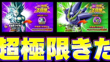 LRズンズン悟飯ちゃんとPセルの超極限きたきたきたー！！【ドッカンバトル】