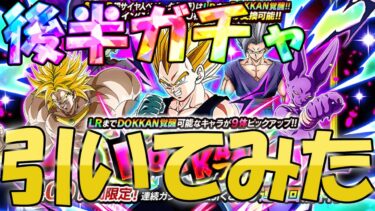 （ドッカンバトル）後半１０周年フェスを引いてみた（ゆっくり実況）