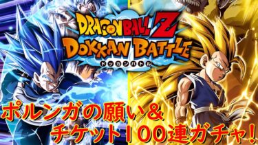 【ドッカンバトル】あり得ないほどの神引きが来た⁉【2人実況】