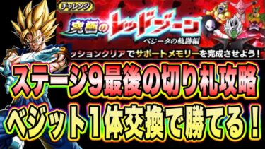 【ドッカンバトル】10周年新キャラ1体編成で行くぞ！「究極のレッドゾーンベジータの軌跡編VS宇宙サバイバル編」の最後の切り札ミッション攻略！【Dragon Ball Z Dokkan Battle】