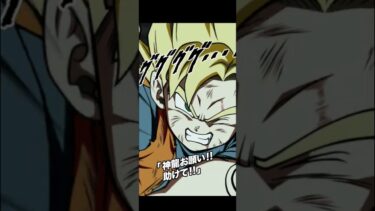 エキサイトバトル9999万ダメージ【ドッカンバトル】 #ドラゴンボール #ドッカンバトル #doragonball