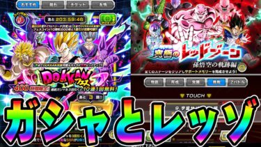 【ドッカンバトル】龍石とチケットで110連勝負！！レッドゾーンもやるよ【DRAGONBALL Z Dokkan Battle】