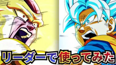 10周年ゴクフリをリーダーフレンドで使ってみた【ドッカンバトル】