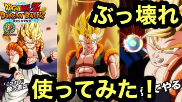 【ドラゴンボールドッカンバトル】ぶっ壊れ！10周年ゴジータ使ってみた！