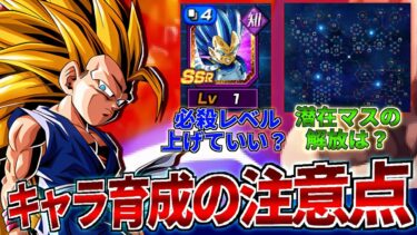 【ドッカンバトル】新規必見!!育成のいろは、落とし穴解説