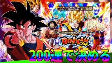 【ドッカンバトル】ここが周年の分水嶺!!200連で勝負を決めろ!!【ガチャ動画】