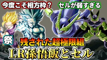 【ドッカンバトル】残された超極限組 LR孫悟飯とセル！！！【解説】