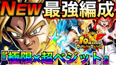 超・環境破壊『W極限7周年＆超ベジットリーダー』最強編成＆最強サブキャラ解説！！【ドッカンバトル】【地球育ちのげるし】