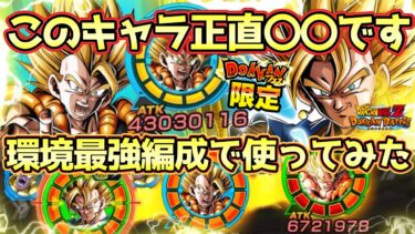 【ドッカンバトル】この編成はドカバトを終わらせに来てる。。。まじで強すぎて不安になるレベルの10周年ゴジータ＆ベジット最強編成使ってみた！
