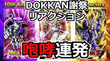 リアルDOKKAN謝祭で叫び回る男【ドッカンバトル】【反応】