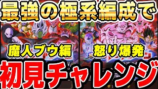 レッドゾーンの第2弾ミッションを最強の極系チームで初見チャレンジ！｜#10周年キャンペーン ｜ドッカンバトル【ソニオTV】