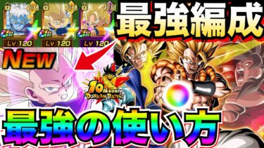 倍率破壊『ドカバト環境ぶっ壊し』大注目『DAIMA超3ベジータ』最強編成で最強の使い方徹底解説！！【ドッカンバトル】【地球育ちのげるし】