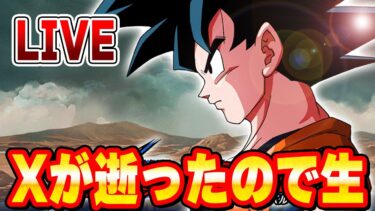 Xおなくなりなので・・・　ドッカンバトルライブ　りどるGames