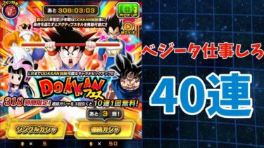【ドッカンバトル】ベジータが働かない318の日ドッカンフェス40連だけ引きました。【ゆっくり実況】