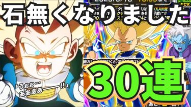 【ドッカンバトル】圧倒的神演出！新キャラ超サイヤ人3ダイマベジータ(ミニ)って魂の30連！果たして当たるのか？【Dokkan Battle 】