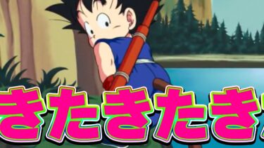 今年のサイヤの日は少年悟空！！きたきたきたー！！【ドッカンバトル】
