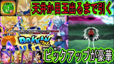 【ドッカンバトル】DAIMA3ベジータドッカンフェスガシャ来た！天井か目玉出るまで○○連引く！ピックアップが超豪華！またもや神引きか！？皆さん引きましたか？