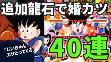 【ドッカンバトル】石無くなりました…最胸新キャラチチと旦那の悟空って魂の40連！果たして当たるのか？いや当てに行くんだよ！！！！【Dokkan Battle 】