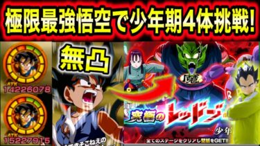 極限最強悟空の初陣！レッドゾーン少年期4体編成ミッション（新規悟空少年期抜き）で使い方解説しながら使ってみた！【ドッカンバトル】