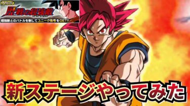 歴戦の超強敵の新ステージやってみた【ドッカンバトル】