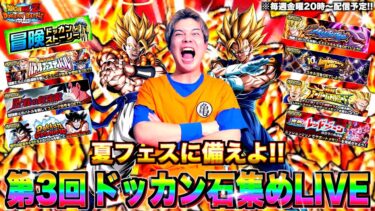 夏フェスに備えよ!! ドッカン石集めLIVE【第3回】