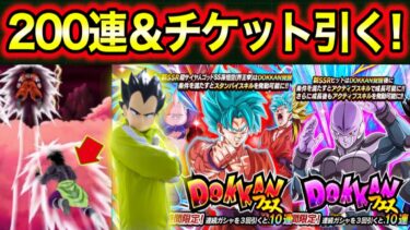 「200連＆チケットが激アツ！」GWダブルドッカンフェス界王拳悟空＆ヒット引いてみた！【ドッカンバトル】