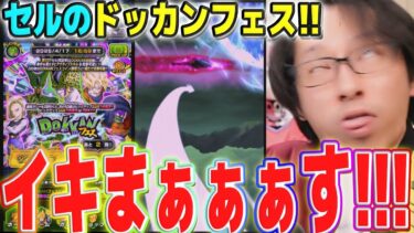 【セル当たったら即終了】セルのドッカンフェスいくぞぉぉぉーーー！！！！│ドッカンバトル【ソニオTV】