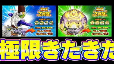 遂にパイクーさんとジャネンバの極限がきたきたきたー！！【ドッカンバトル】