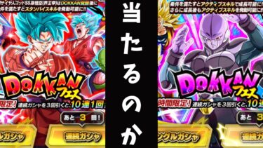 [ドッカンバトル]ドッカンフェスのガシャを引いたら．．．