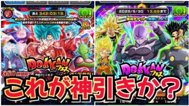 ドッカンバトル始めて10年、こんな引き初めてかもしれん【ドッカンバトル】