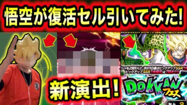 「Youtubeの悟空が大暴れ！」フェス限復活セル引いてみた！【ドッカンバトル】※エイプリルフール
