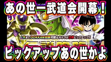 【ドッカンバトル】さあセルラン一位ぶち抜けるのか！？パイクーハン伝説降臨全力引き行くぞ！ピックアップあの世一なんですか？【Dragon Ball Z Dokkan Battle】