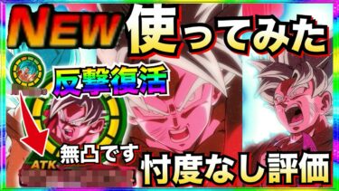 『忖度なし使用評価』新フェス『復活界王拳ブルー』使ってみたら◯◯じゃねーか！！【ドッカンバトル】【地球育ちのげるし】