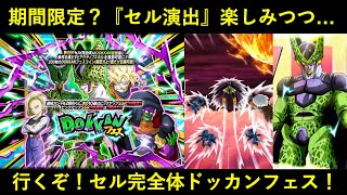 【ドッカンバトル】期間限定ガシャ演出を楽しみつつ…。行くぞ！セル完全体ドッカンフェス！