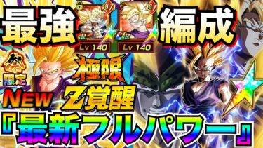 『最新版』極限参戦で強くなった『超フルパワー』最強編成！！【ドッカンバトル】【地球育ちのげるし】