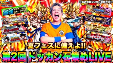 夏フェスに備えよ!! ドッカン石集めLIVE【第2回】