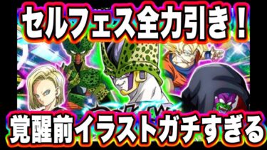 【ドッカンバトル】エイプリルフールドッカンでセルゲーム開幕！セルゲームセルを狙ってドッカンフェス全力引き！【Dragon Ball Z Dokkan Battle】