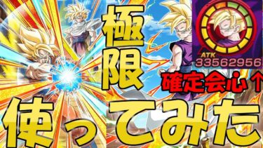 （ドッカンバトル）極限した交代親子を使ってみた（ゆっくり実況）