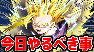 絶対に今日中にやらないと後悔するイベント3選│ドッカンバトル【ソニオTV】